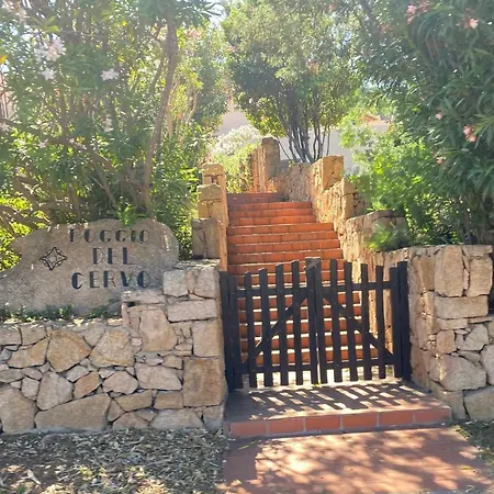 Poggio Del Cervo Porto Cervo