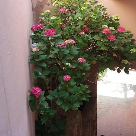 Holiday home Poggio Del Cervo *