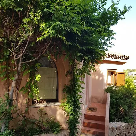 Poggio Del Cervo *